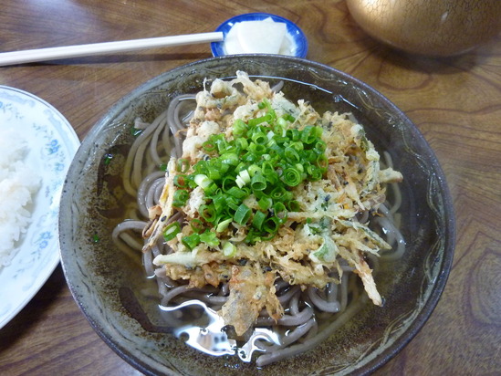 �������ŷ���嶾��