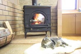 �ť��ȡ���