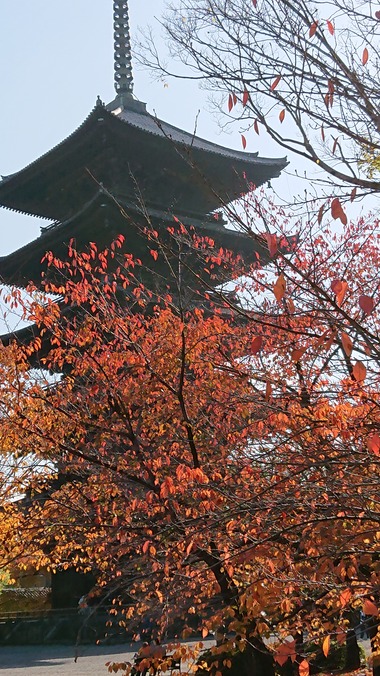 東寺5重の塔