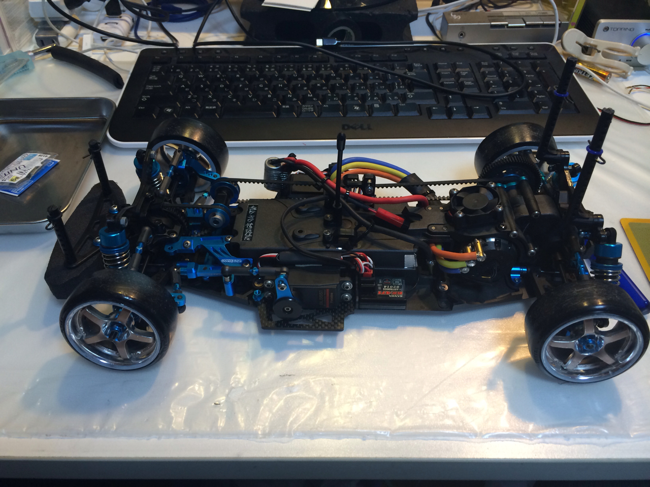 TA06セッティングのコツ : WILD AND SENSITIVE