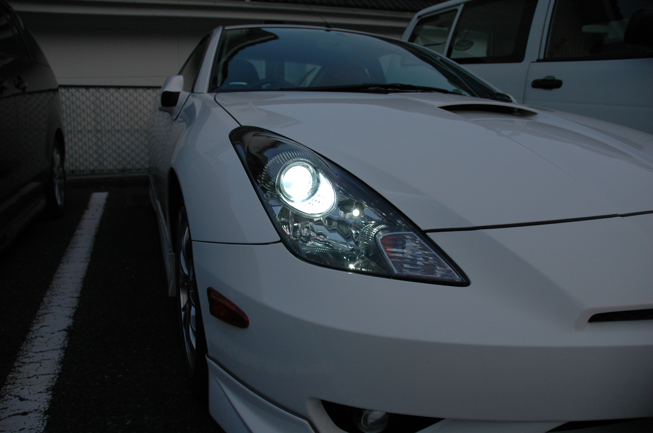 セリカ Hidバルブ交換 Wild And Sensitive