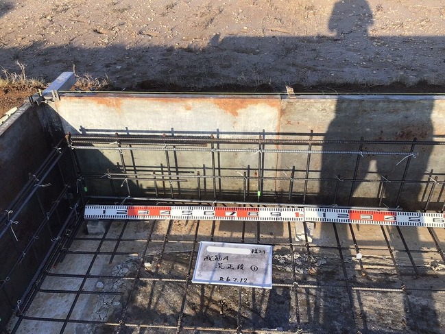 2024.2.12�۶� (6)