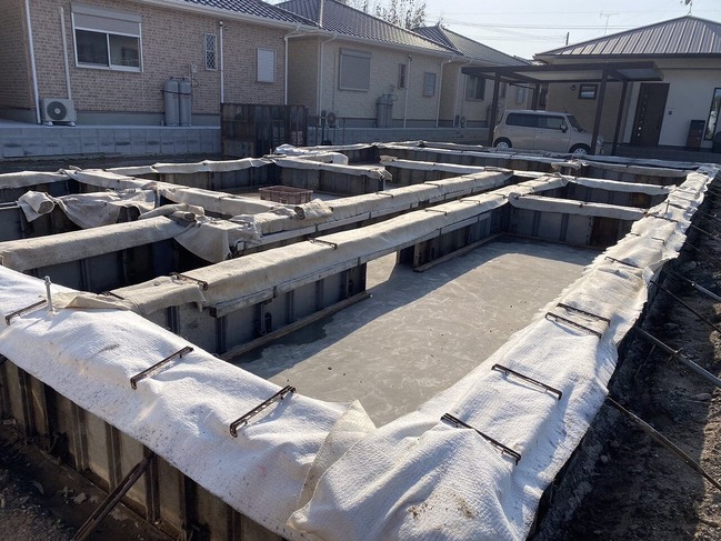 2024.4.9Ω������ (1)