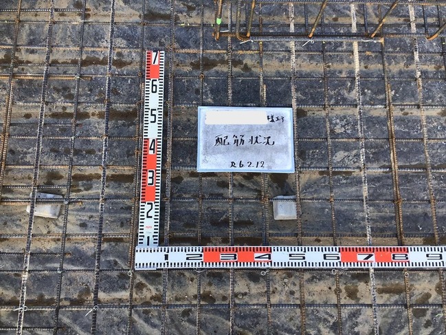 2024.2.12�۶� (15)