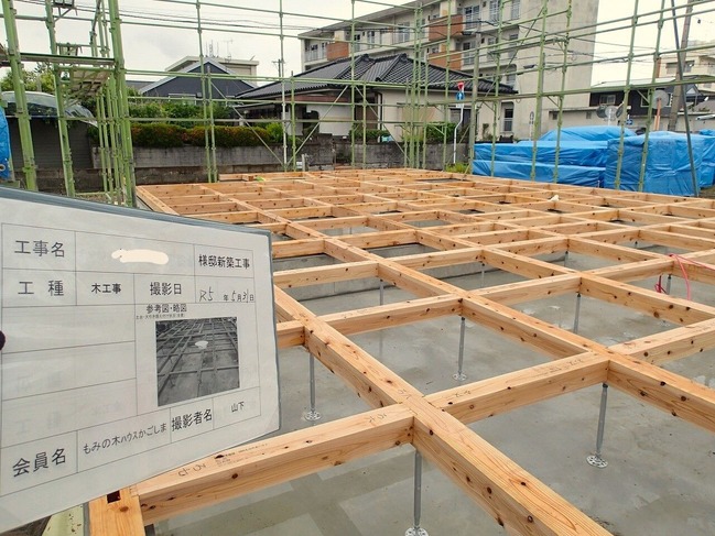 P5310020