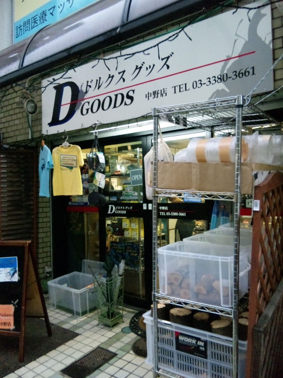 全国カブクワショップ紹介 オオカブトの部屋 全国カブクワショップ紹介 オオカブトの部屋