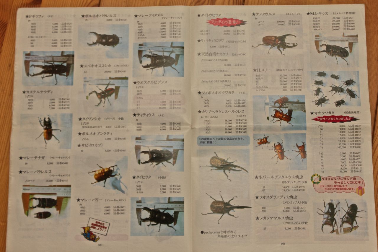 ムネ奈良オオクワセンターカタログ2部とオマケプライスリスト一部 2026年最新】奈良オオクワセンターの人気アイテム - メルカリ
