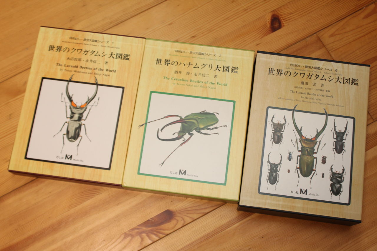 世界のハナムグリ大図鑑/酒井香/永井信二/むし社/昆虫/図鑑