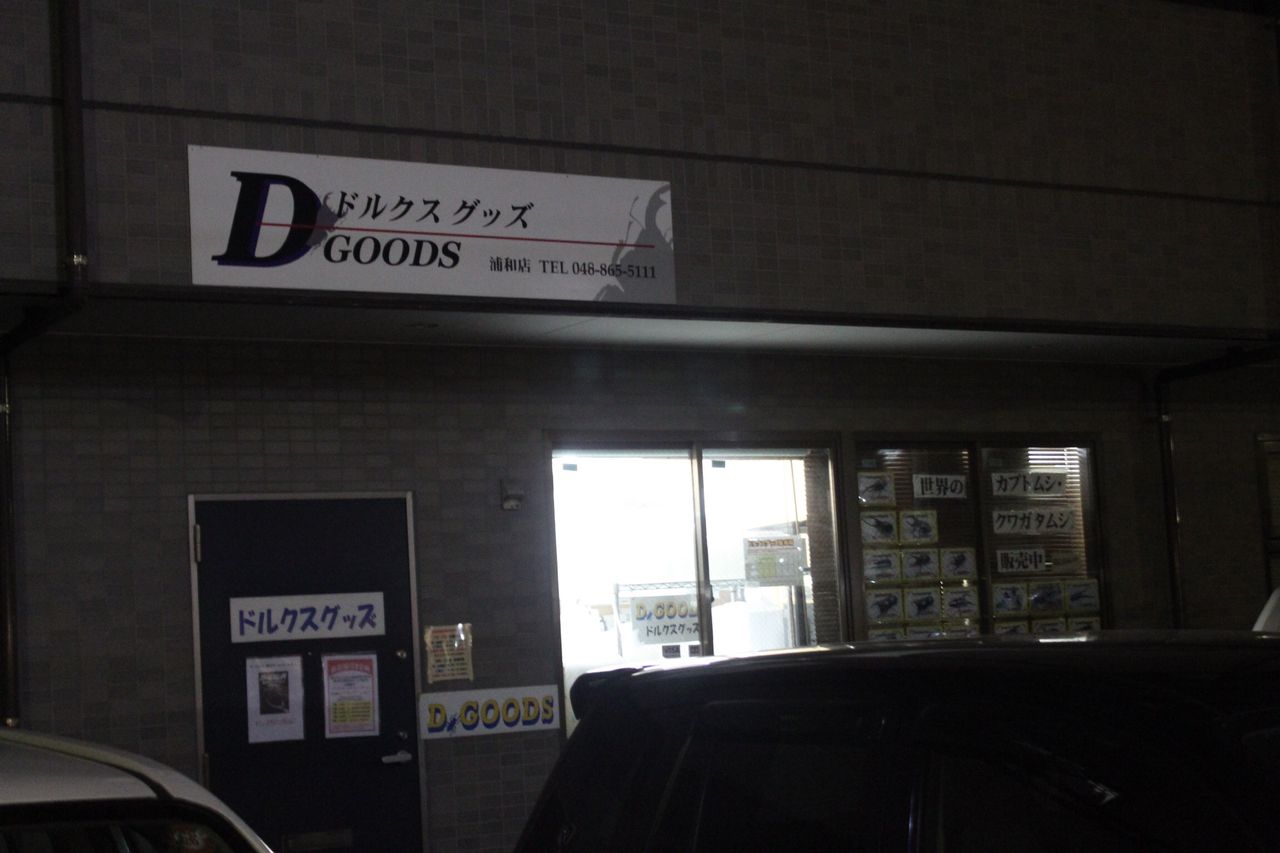 全国カブクワショップ紹介 オオカブトの部屋 全国カブクワショップ紹介 オオカブトの部屋