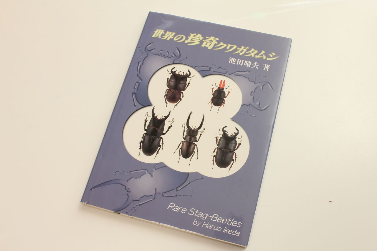 カブクワ本 紹介 その2 : オオカブトの部屋