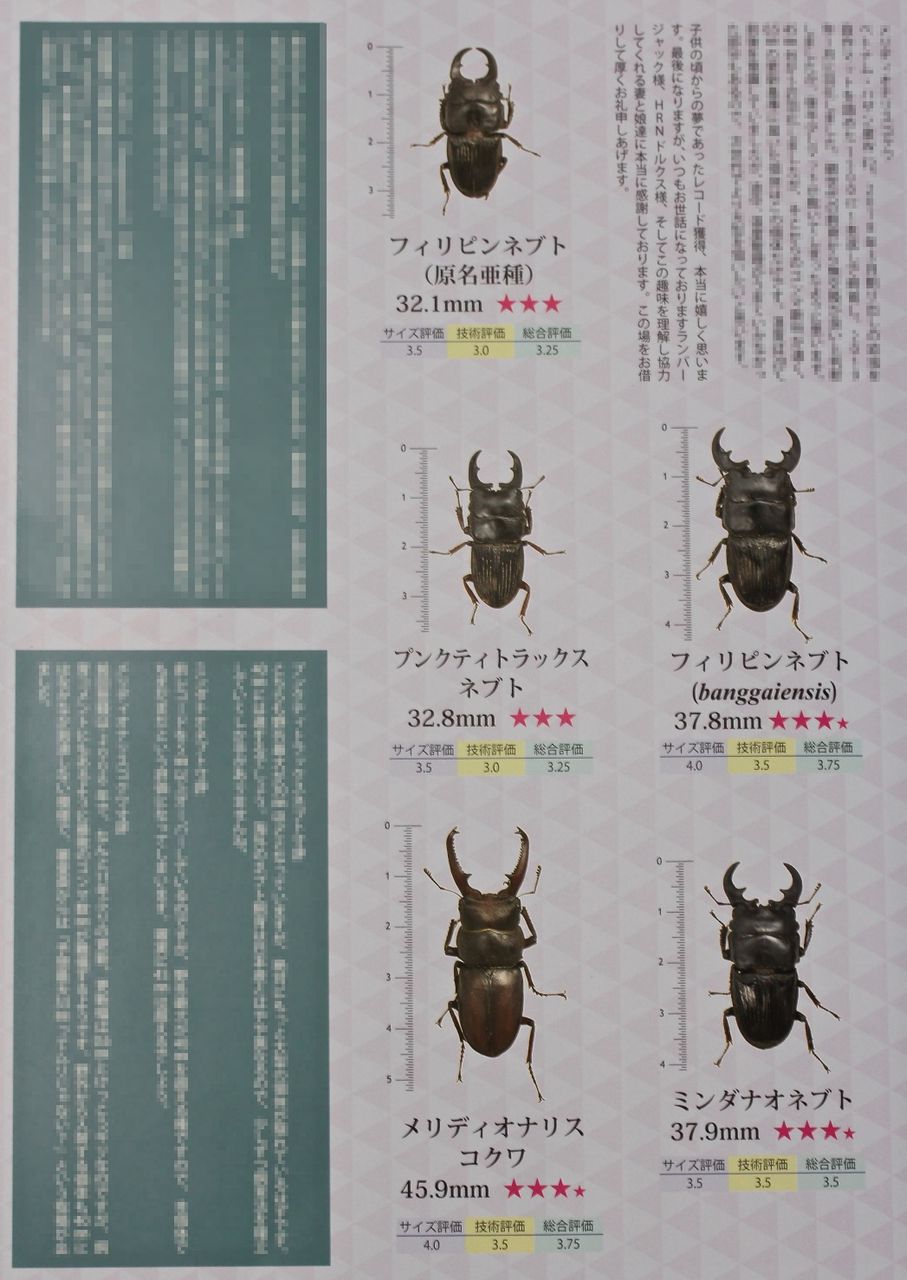 ビークワ47 BE-KUWA 47号（送料込み） ビークワ47号 : ドルクスオーナーズ