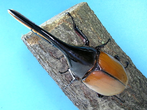 20060823 002