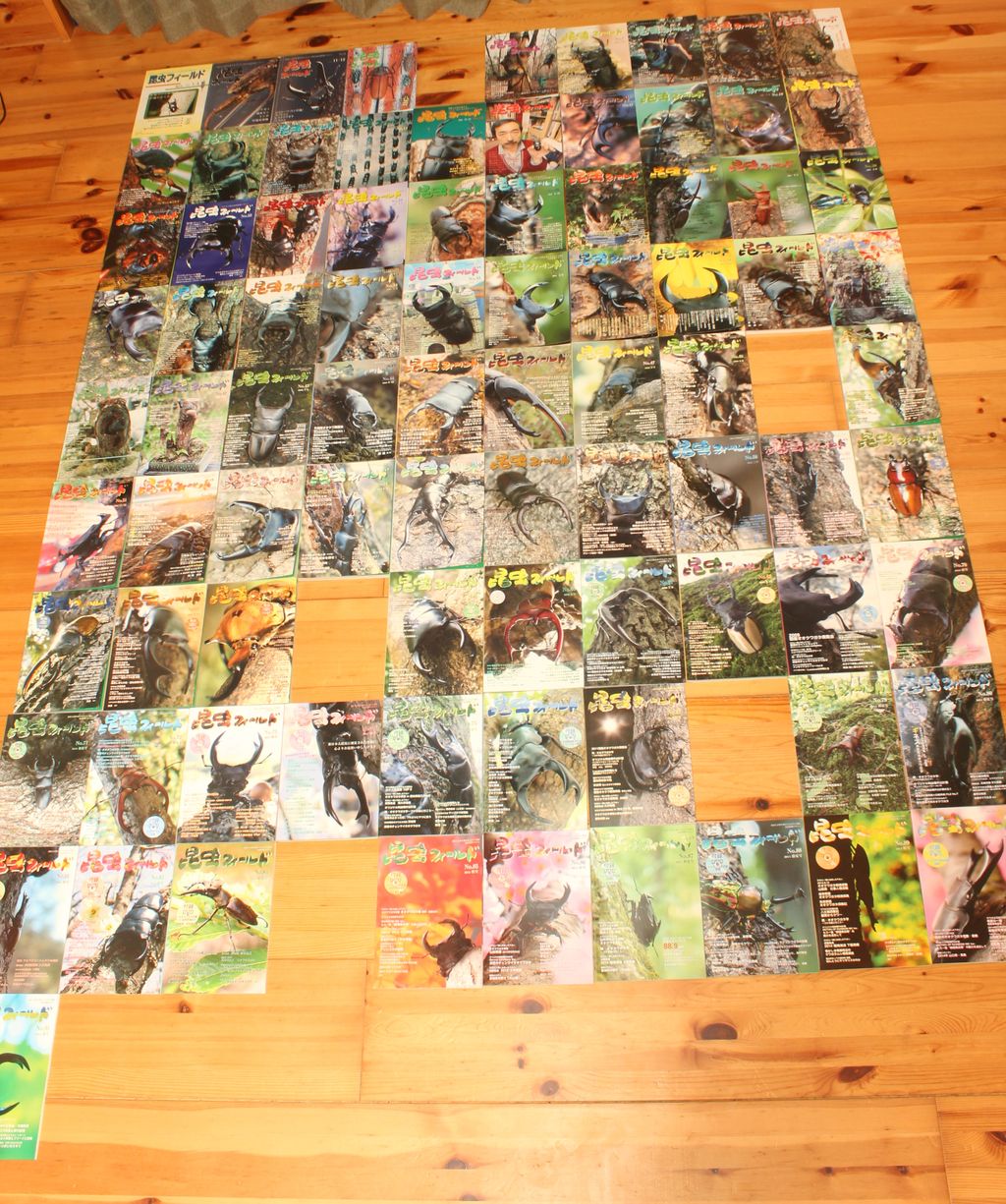 くわがたマガジン 28冊 くわがたマガジン 28冊 くわがたマガジン 28冊 Yahoo