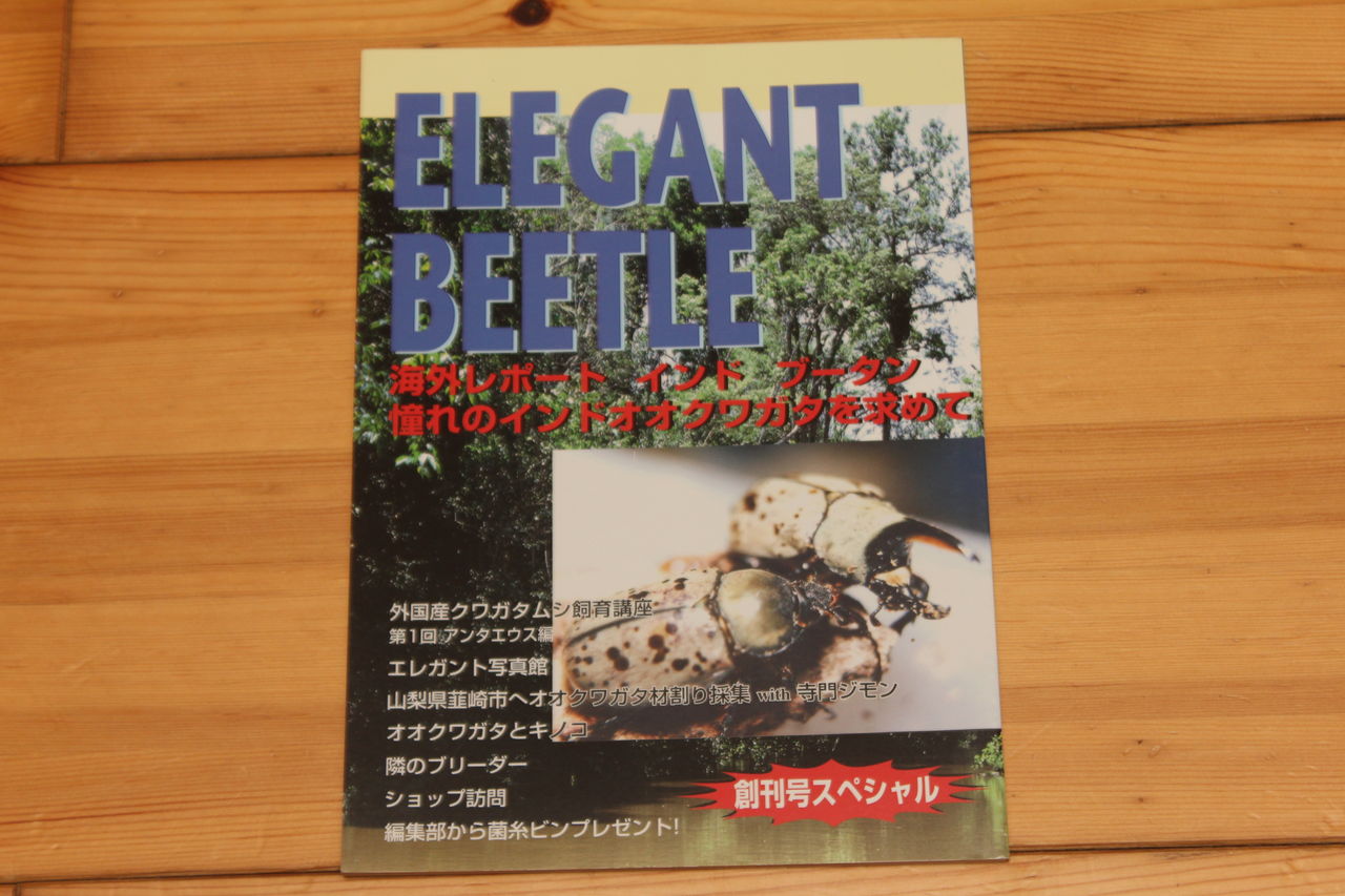 超歓迎された】 KUWATA 創刊号等12冊 クワガタ カブトムシ専門誌