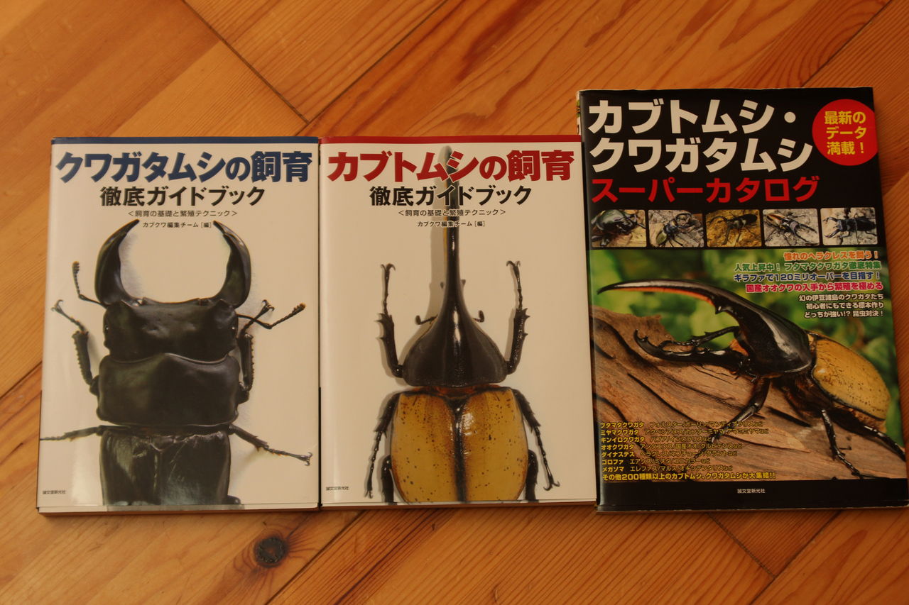 カブト クワガタ専門誌 紹介 オオカブトの部屋