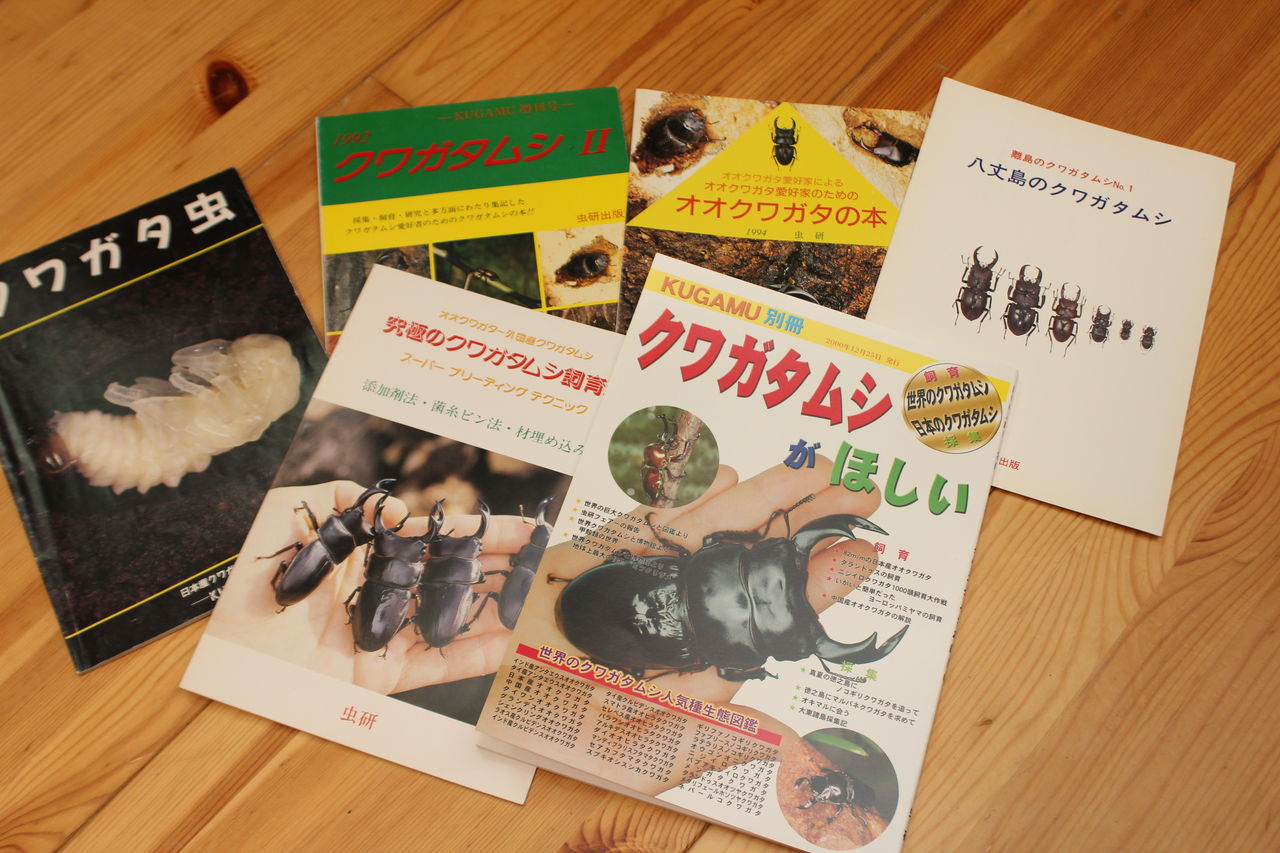 カブクワ本 紹介 その2 : オオカブトの部屋