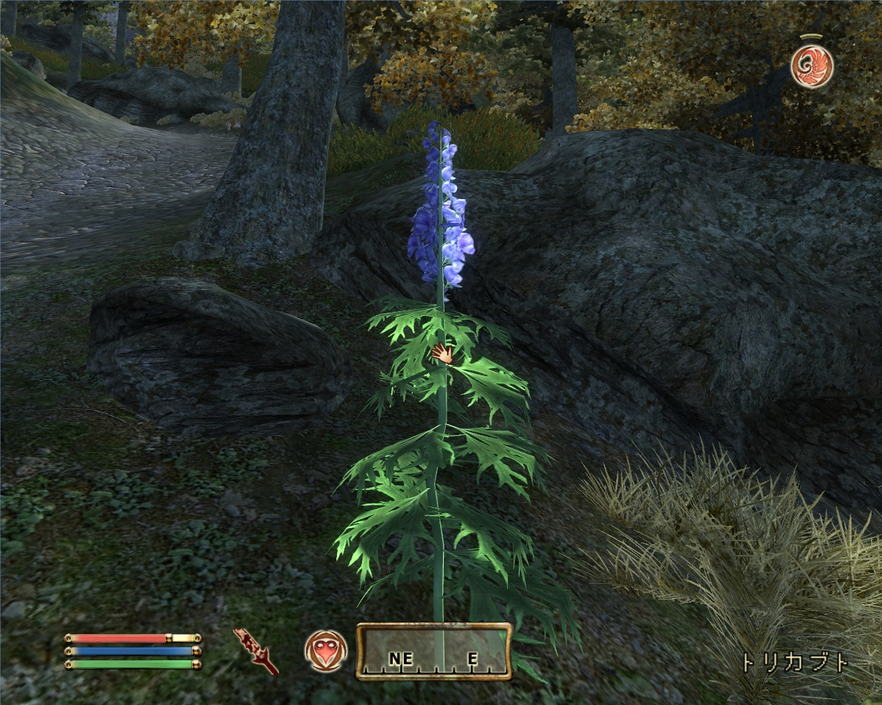 Ruin S Oblivionstory 植物図鑑 第3巻 2つ屋根の下