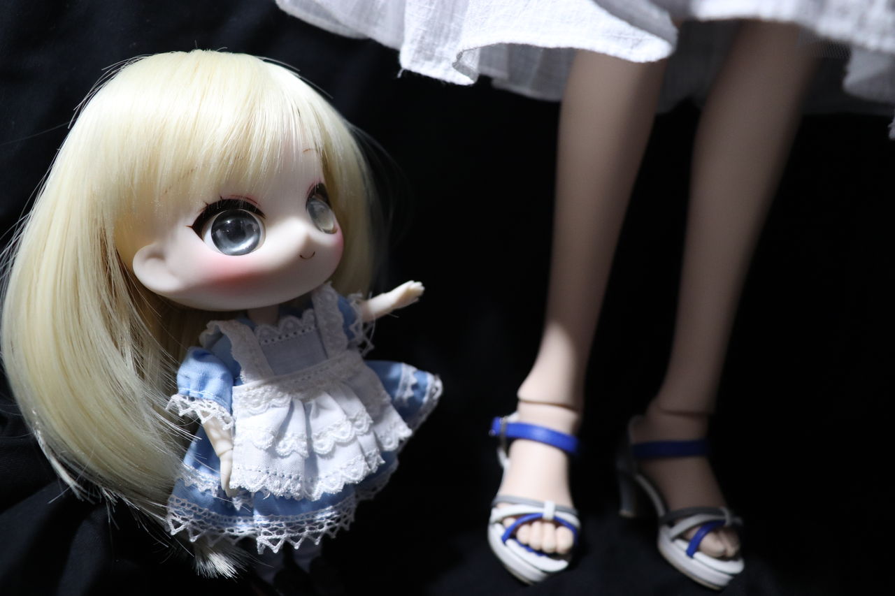 15cmサイズのエリカちゃん 神堂椿のドールblog