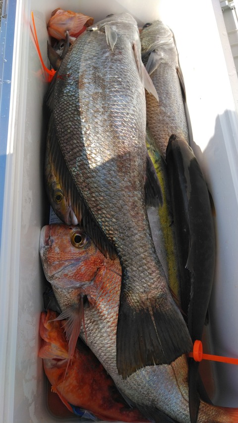 KIMG3028_01_BURST1003028_COVER