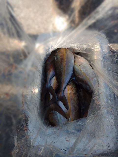 KIMG2621_01_BURST1002621_COVER