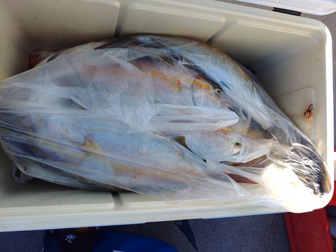 KIMG2619_02_BURST1002619