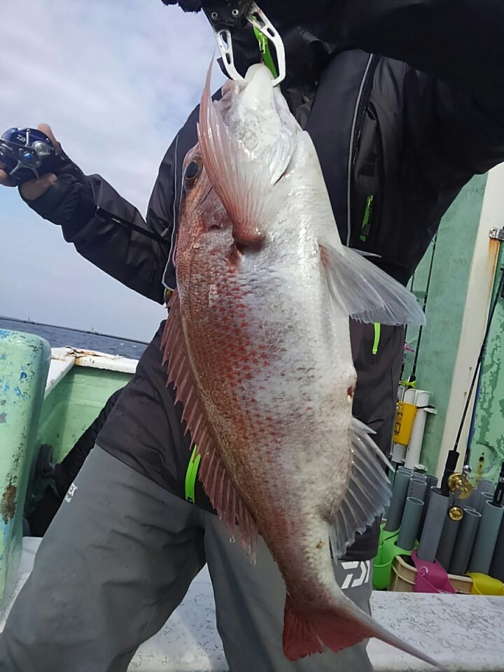 イメージ 8