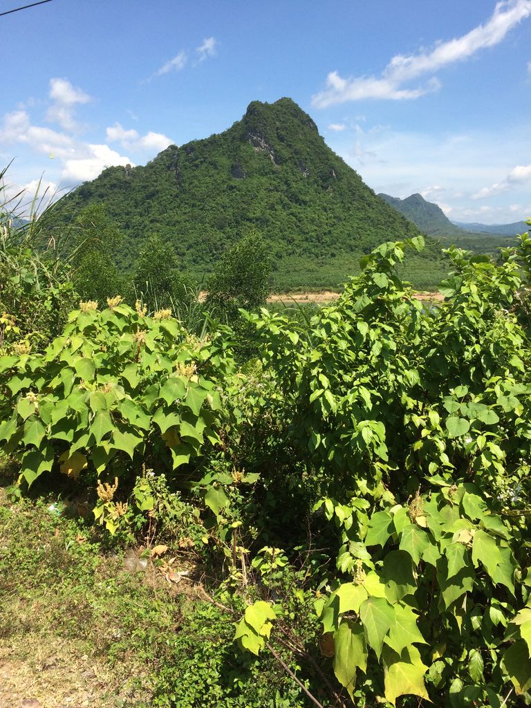 39日目 フエ 幻影旅譚 39日目 フエ 幻影旅譚