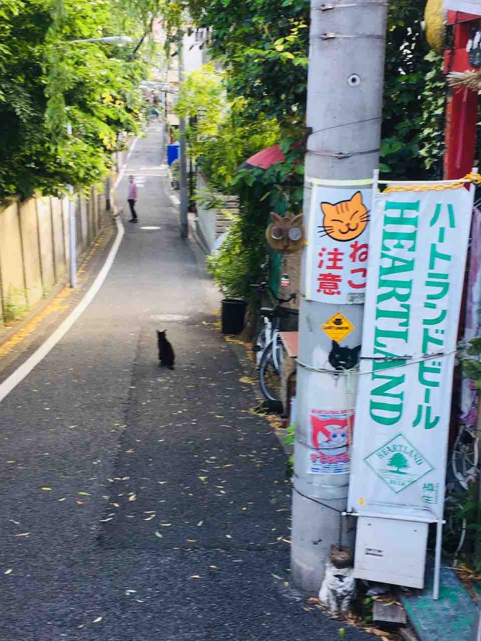 谷中のメグちゃん 幻影旅譚
