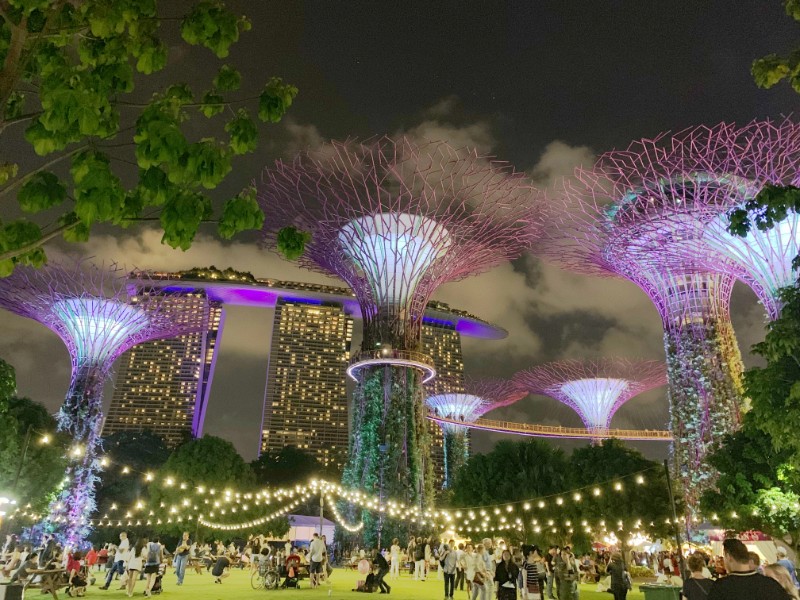 シンガポールのクリスマスイルミネーション18 ガーデンズバイザベイ編 おまる部長はシンガポール生活中です