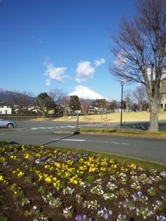 fujisann