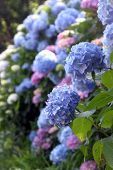 image[5]
