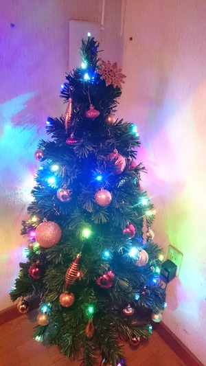 �ĥ꡼���������Σ�