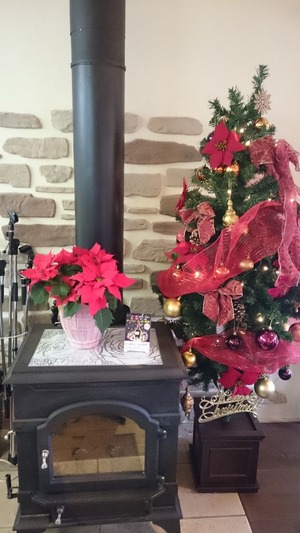アダージョクリスマスツリ