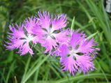 c6860d97.jpg