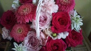 ��Τ�ڤ���