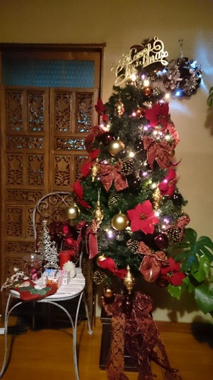 �ĥ꡼���������Σ�