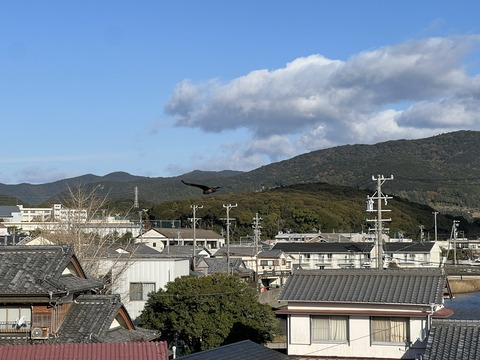 3F98676B-F2F2-48A8-B1C3-73691A83491E_1_102_o