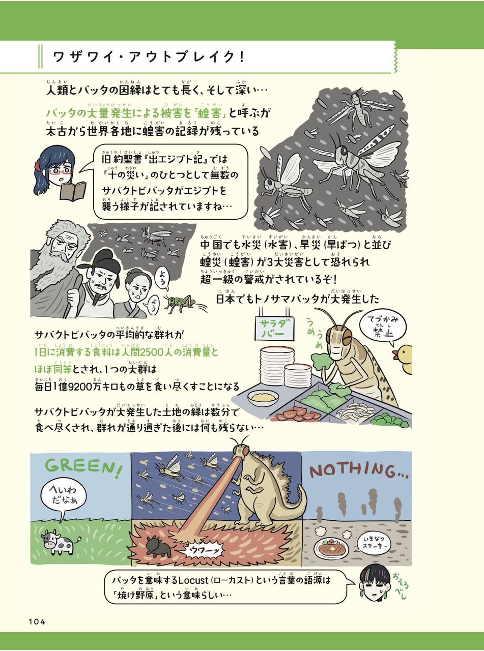 悲報 イナゴ第3波 億匹以上が羽化ｗｗｗｗｗｗｗｗ 必死速報