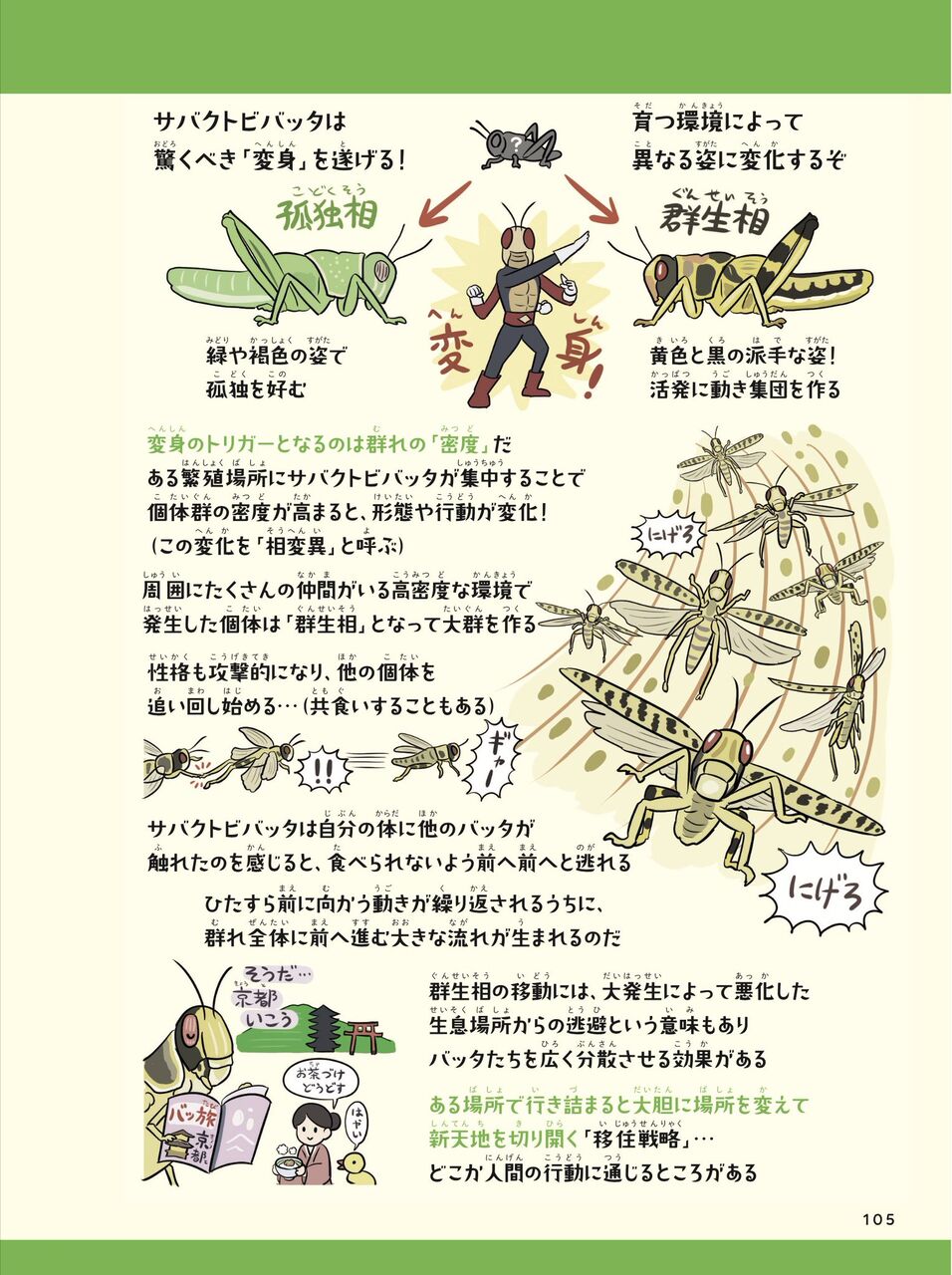 悲報 イナゴ第3波 億匹以上が羽化ｗｗｗｗｗｗｗｗ 必死速報