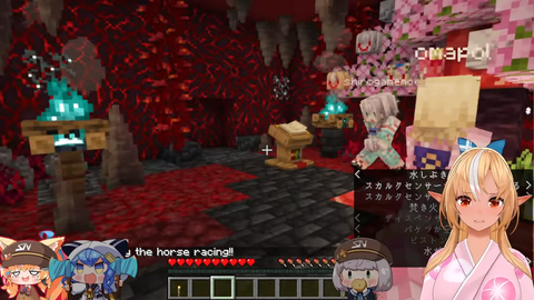 sc8-29_nk203