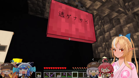 sc8-29_nk216