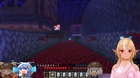 sc8-29_nk206