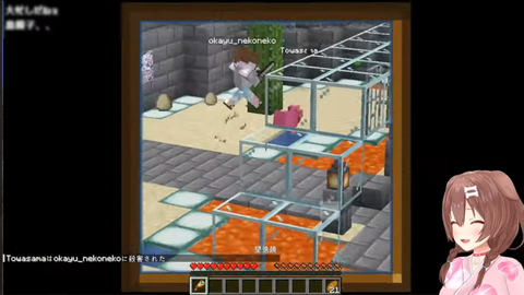 sc8-29_nk24