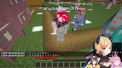 sc8-29_nk155