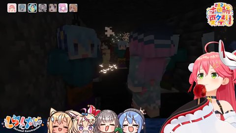 sc8-29_nk335