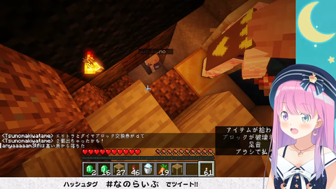 sc8-29_nk375
