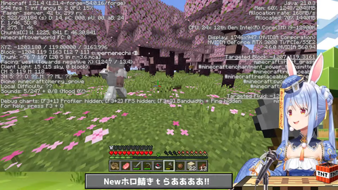 桜２