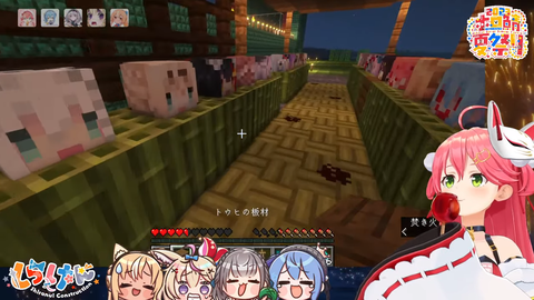 sc8-29_nk353