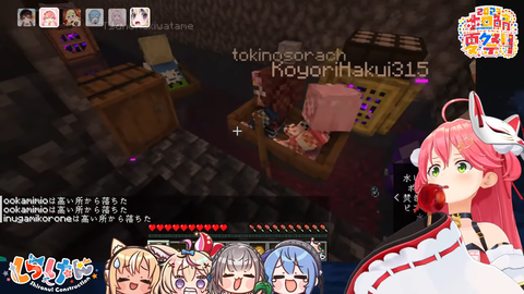 sc8-29_nk296