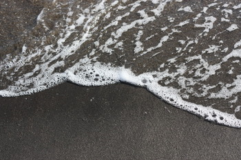 海